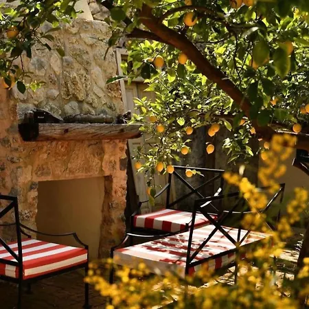 Merian's House فتحية