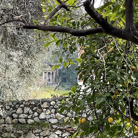 וילה Merian's House