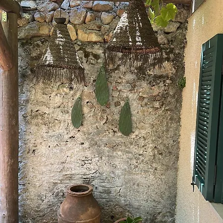 Merian's House Villa *