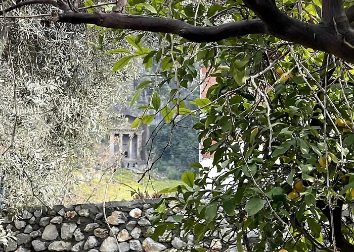 Villa Merian's House